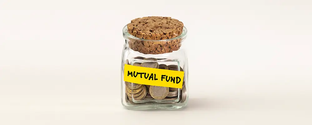 A Guide to Choosing Small-Cap Mutual Funds for Investors