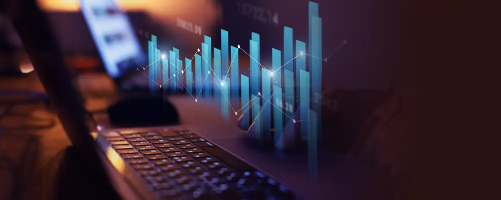 Debt Monthly View for December 2024